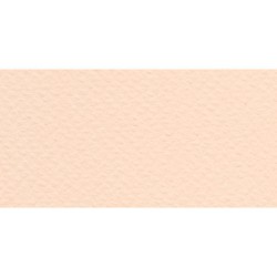 Бумага для пастели № 25 розовый Tiziano, артикул 52811025